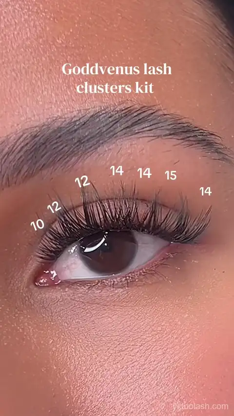 Goddvenus invisible band lash clusters being applied — wispy C-curl individual lashes